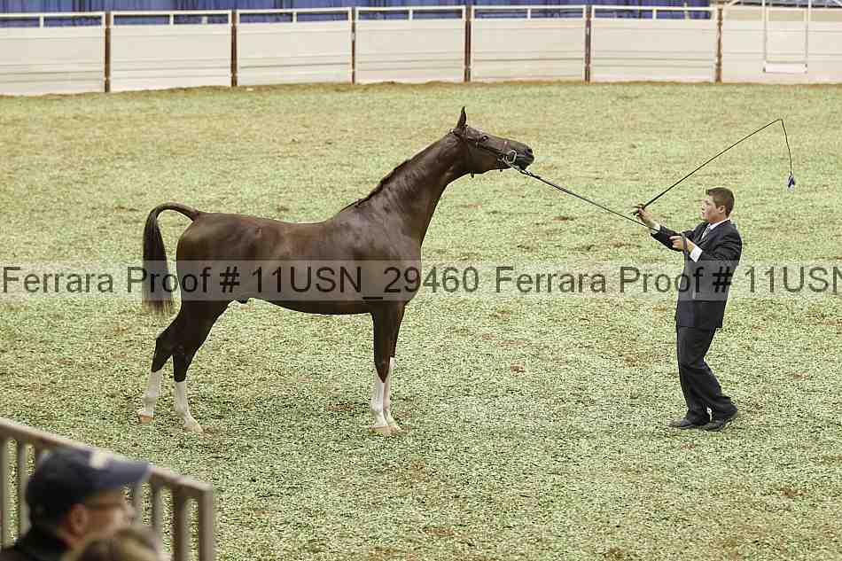 Proof 11usn_29460