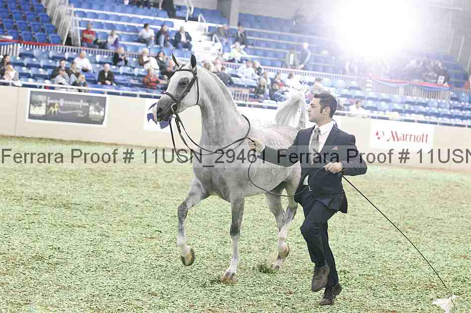 Proof 11usn_29461