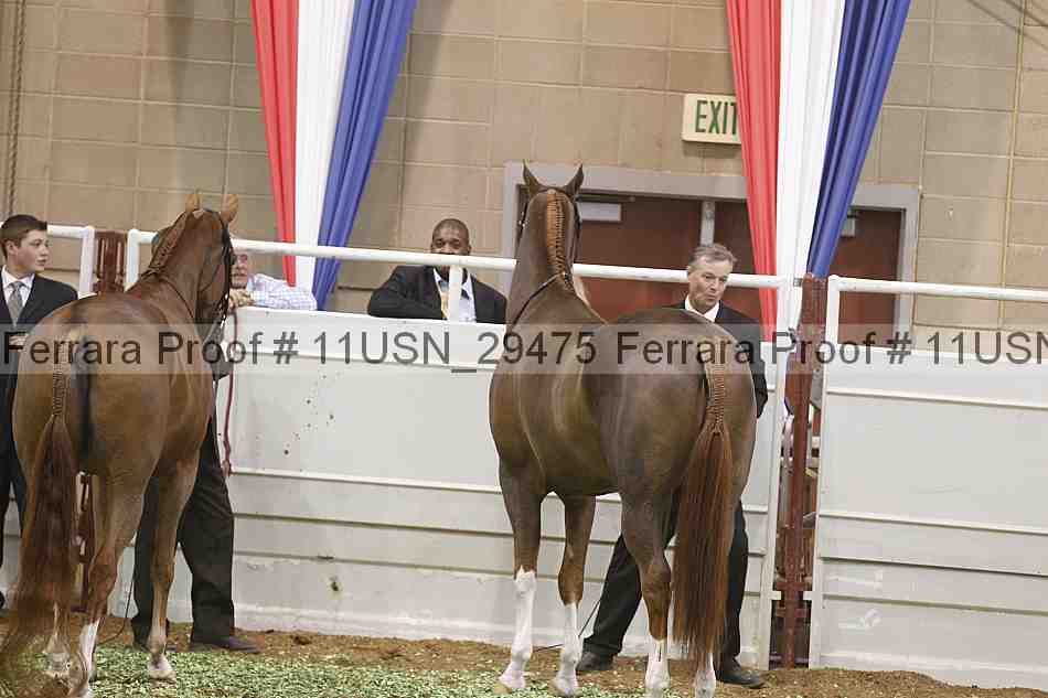 Proof 11usn_29475