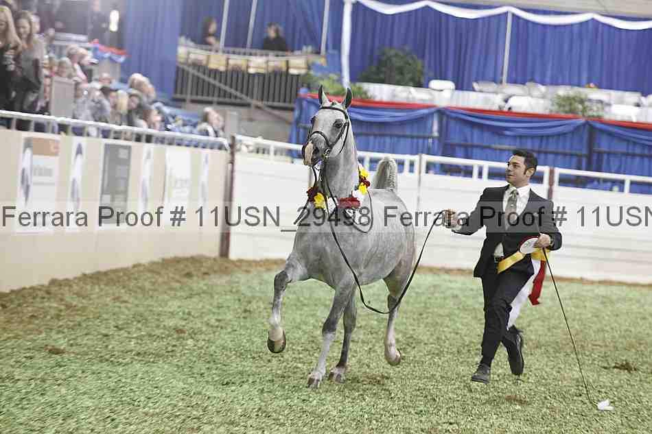 Proof 11usn_29498