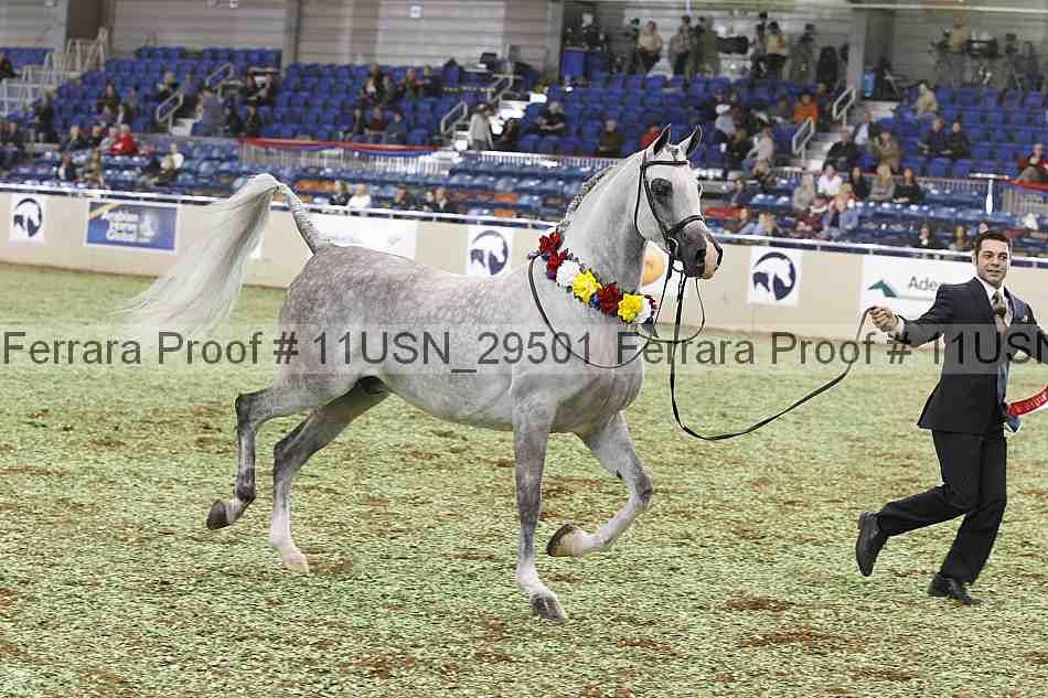 Proof 11usn_29501