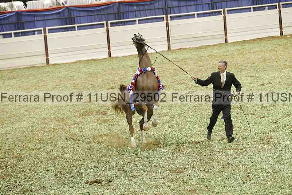 Proof 11usn_29502
