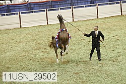 11usn_29502 proof