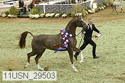 11usn_29503 proof
