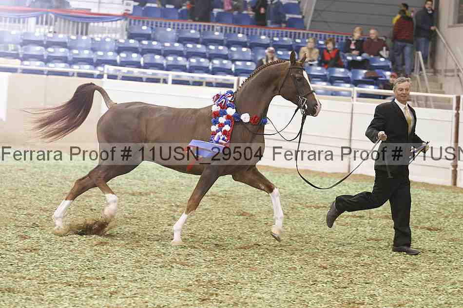 Proof 11usn_29504