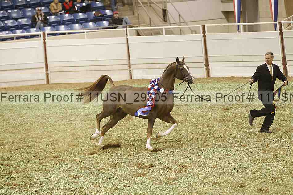 Proof 11usn_29505