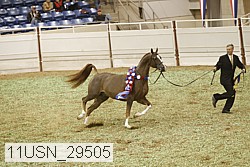 11usn_29505 proof