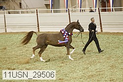 11usn_29506 proof