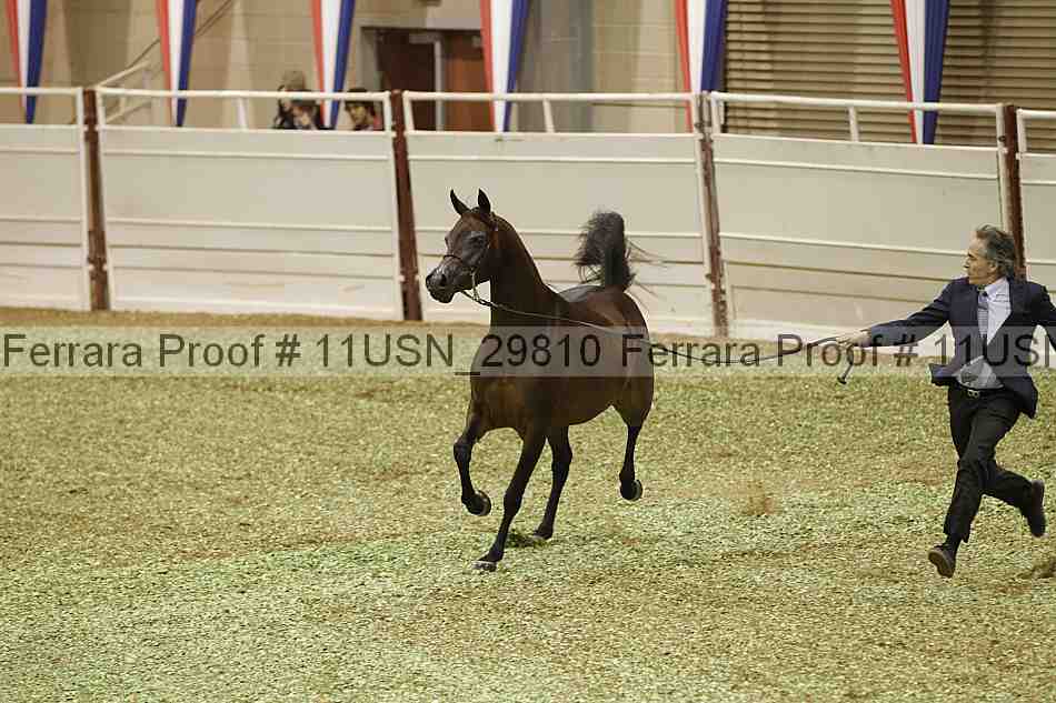 Proof 11usn_29810