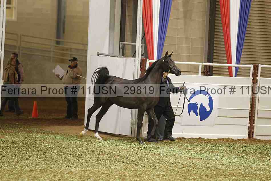 Proof 11usn_29819