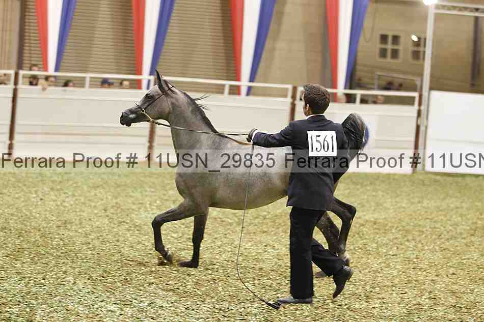 Proof 11usn_29835