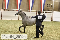 11usn_29835 proof