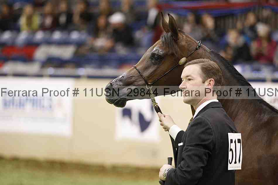 Proof 11usn_29844