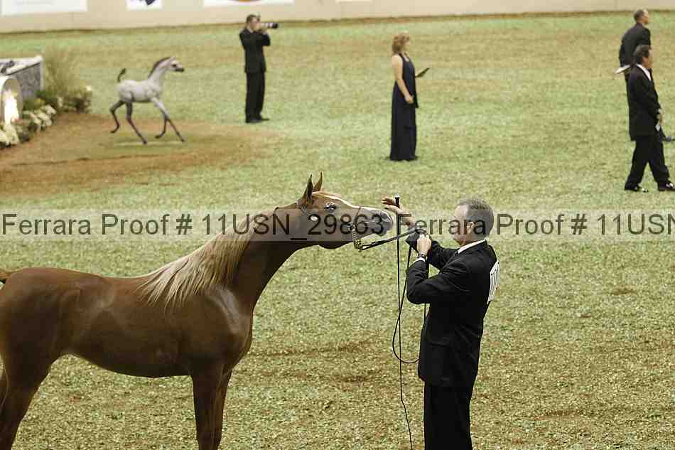 Proof 11usn_29863