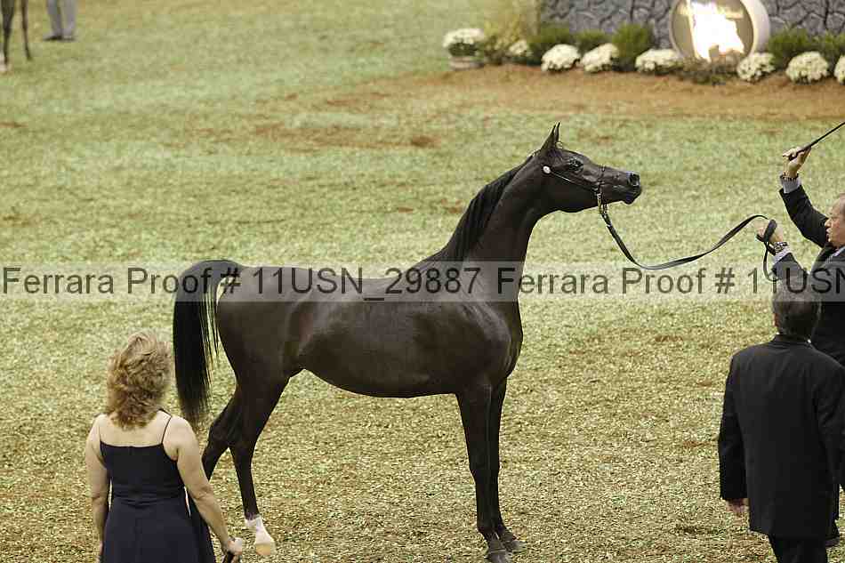 Proof 11usn_29887