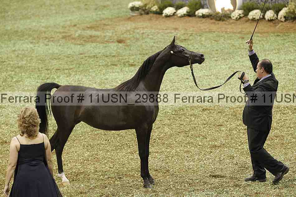 Proof 11usn_29888
