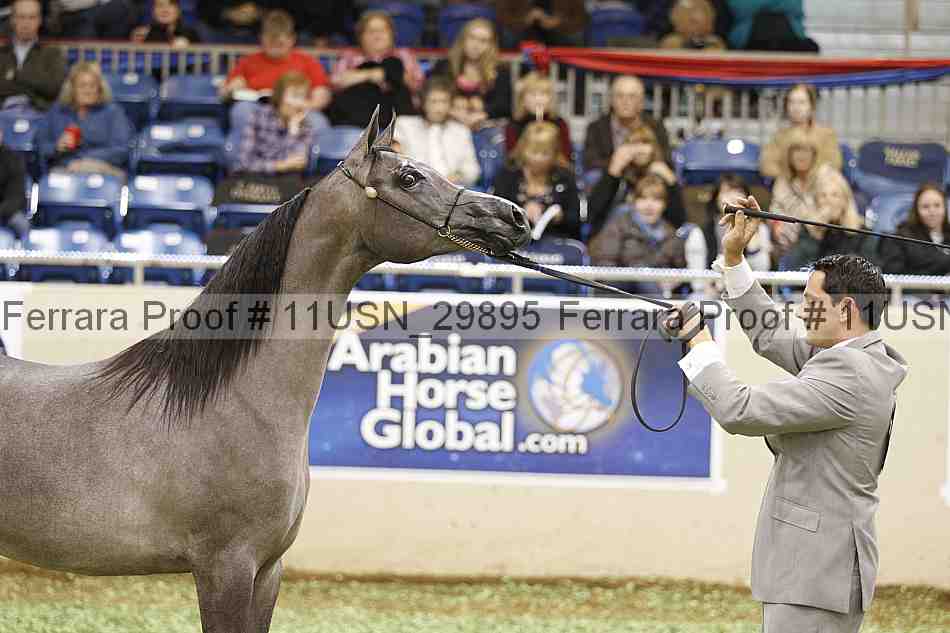 Proof 11usn_29895