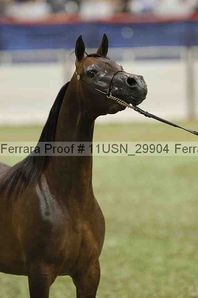 Proof 11usn_29904