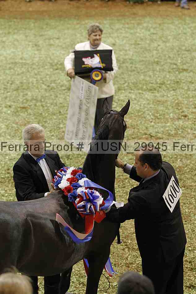 Proof 11usn_29945
