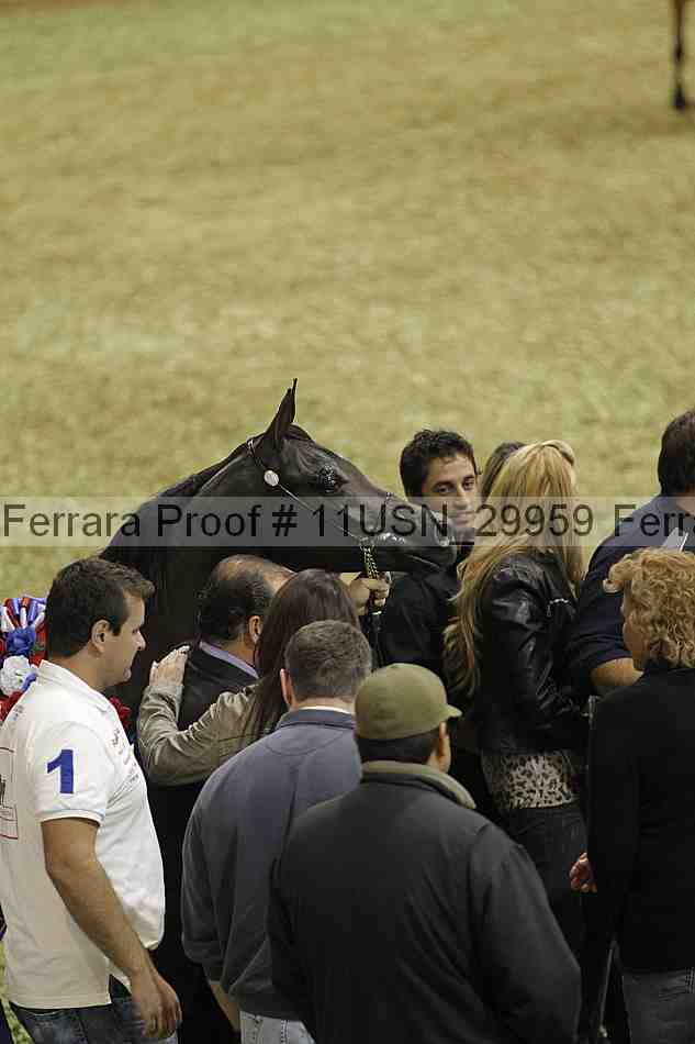 Proof 11usn_29959