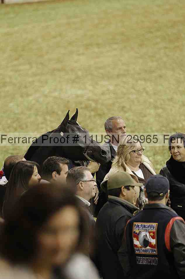 Proof 11usn_29965