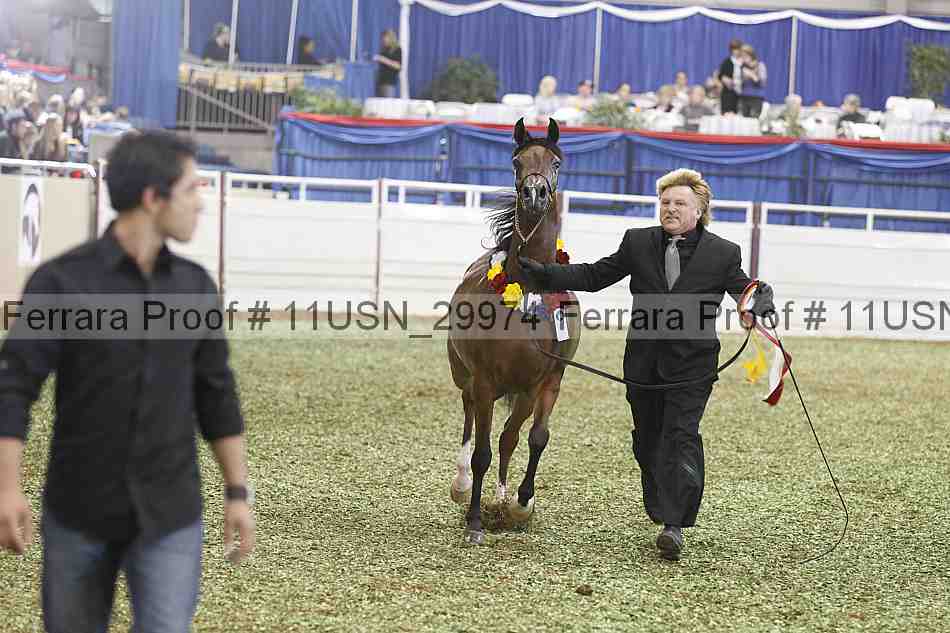 Proof 11usn_29974