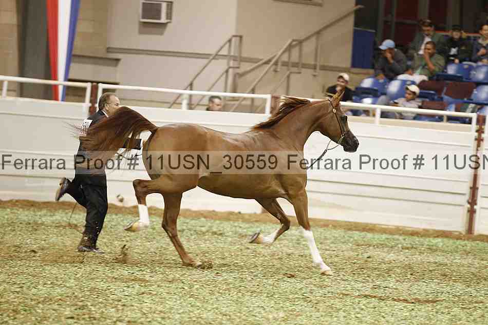 Proof 11usn_30559