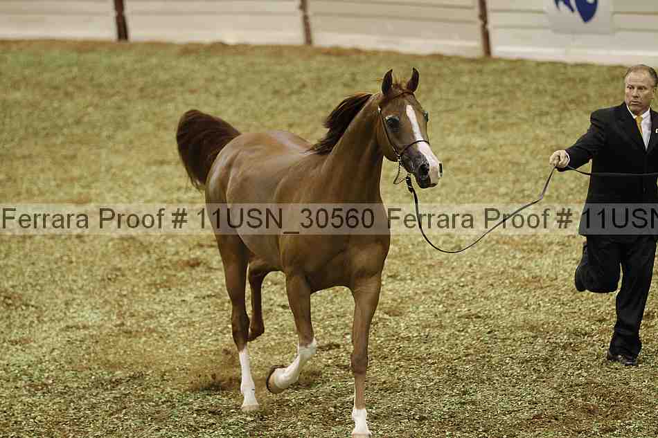 Proof 11usn_30560