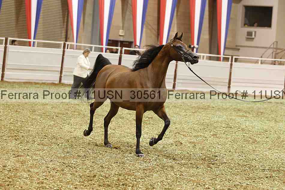Proof 11usn_30561