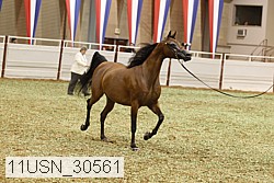 11usn_30561 proof