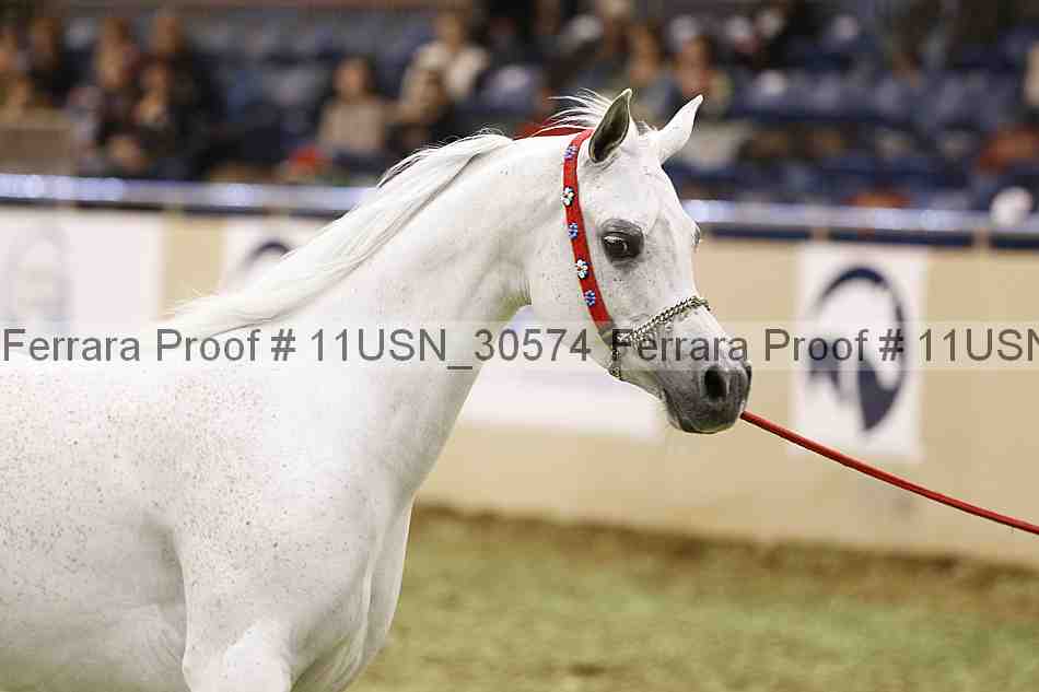 Proof 11usn_30574