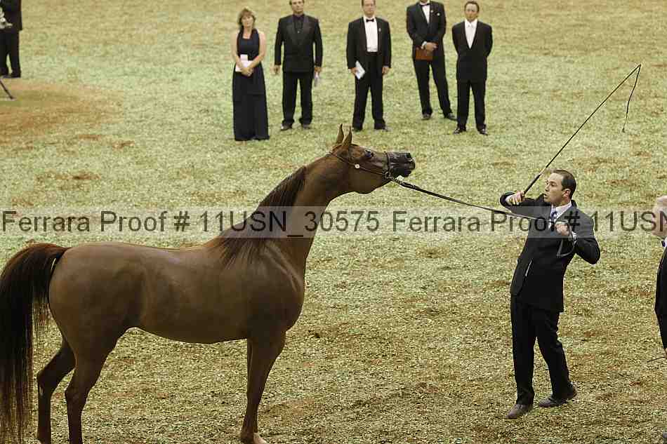 Proof 11usn_30575
