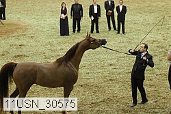 11usn_30575 proof