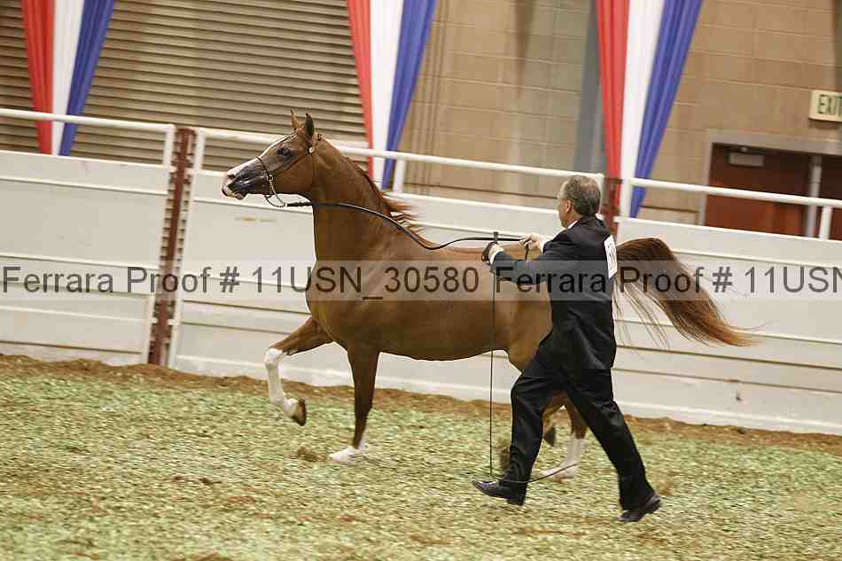 Proof 11usn_30580