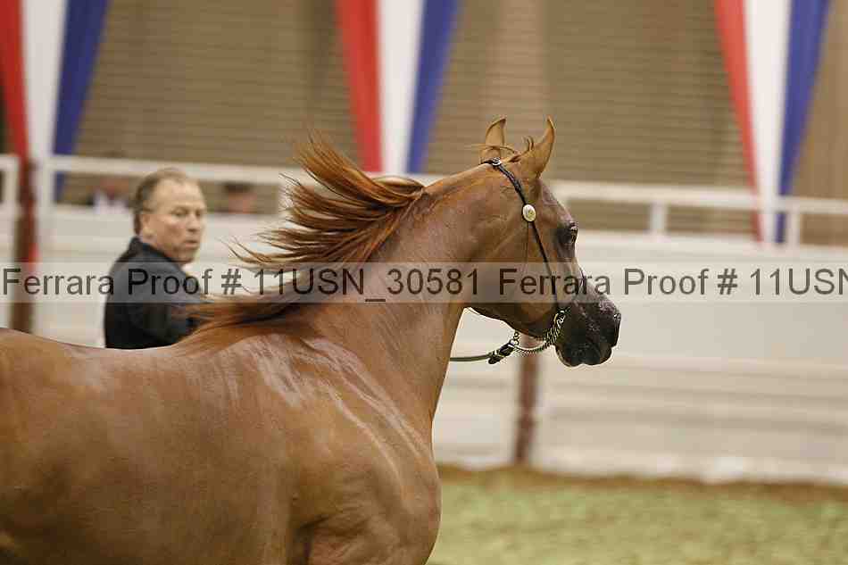 Proof 11usn_30581