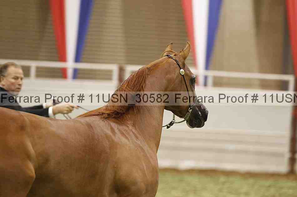 Proof 11usn_30582