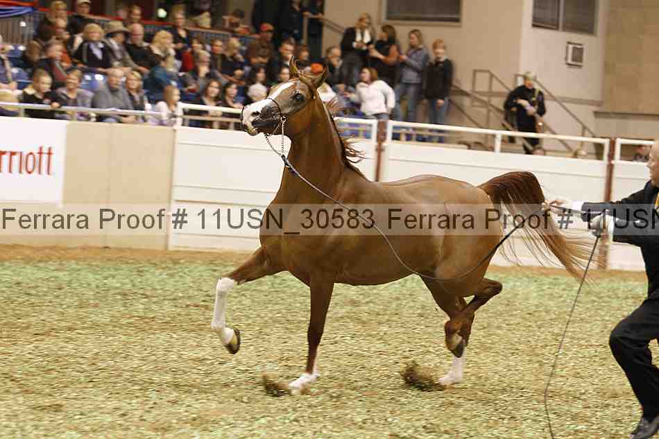 Proof 11usn_30583