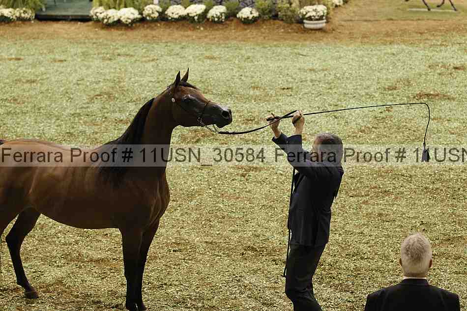 Proof 11usn_30584