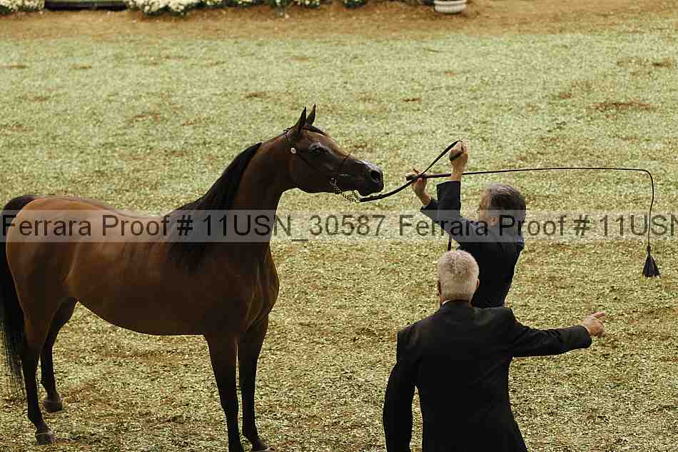 Proof 11usn_30587