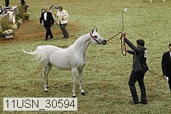 11usn_30594 proof