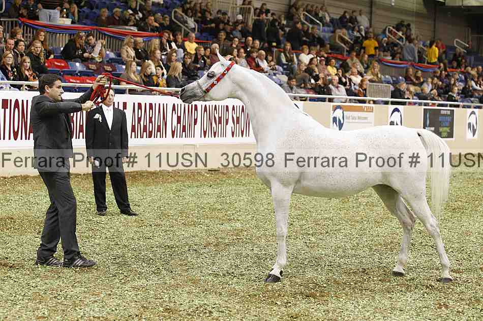 Proof 11usn_30598