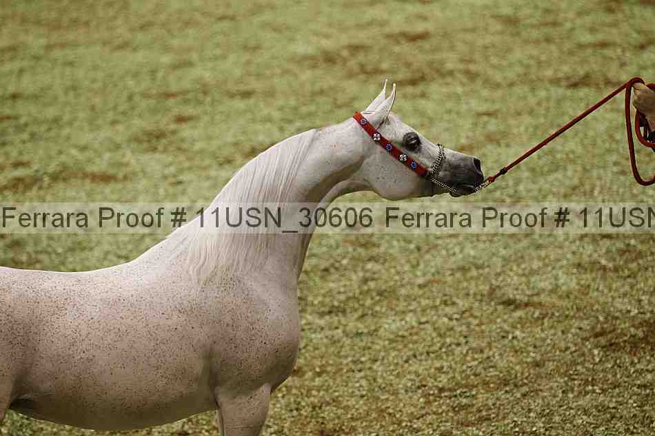 Proof 11usn_30606