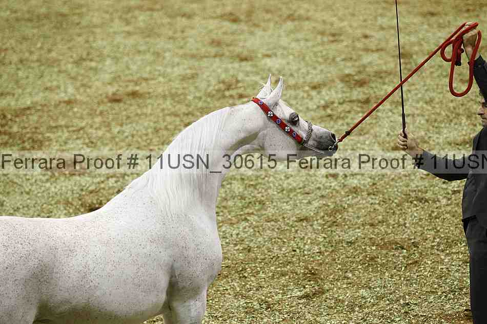 Proof 11usn_30615