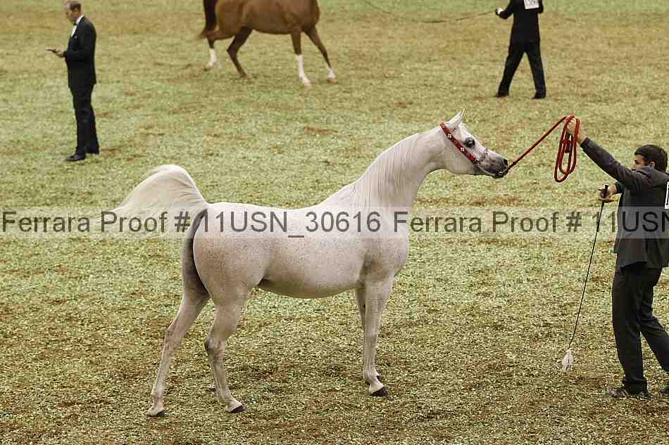Proof 11usn_30616