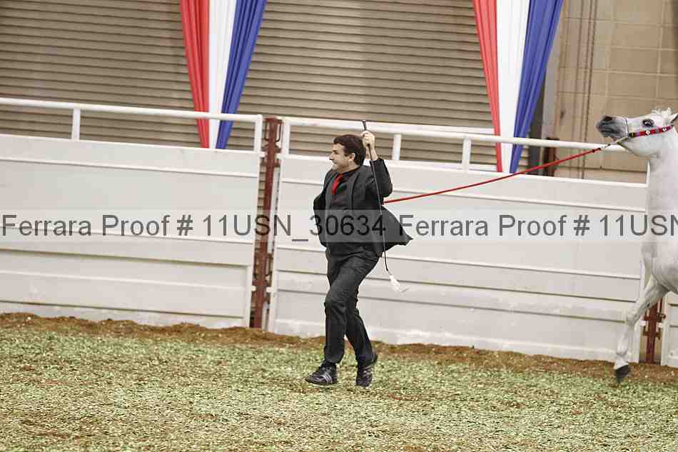 Proof 11usn_30634