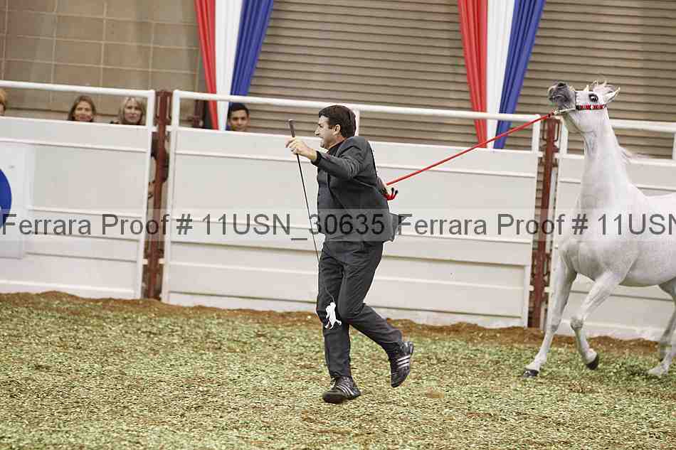 Proof 11usn_30635