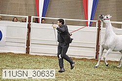 11usn_30635 proof