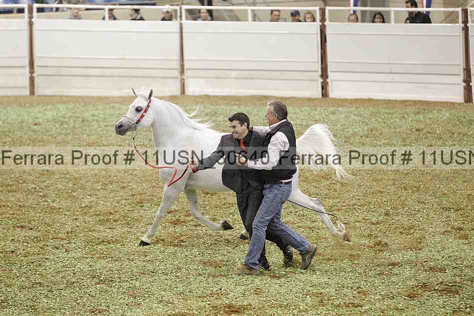 Proof 11usn_30640
