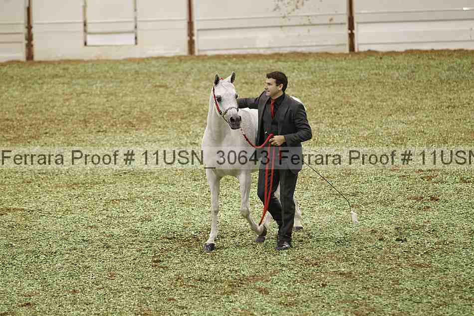 Proof 11usn_30643