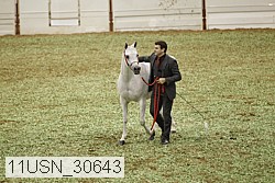 11usn_30643 proof